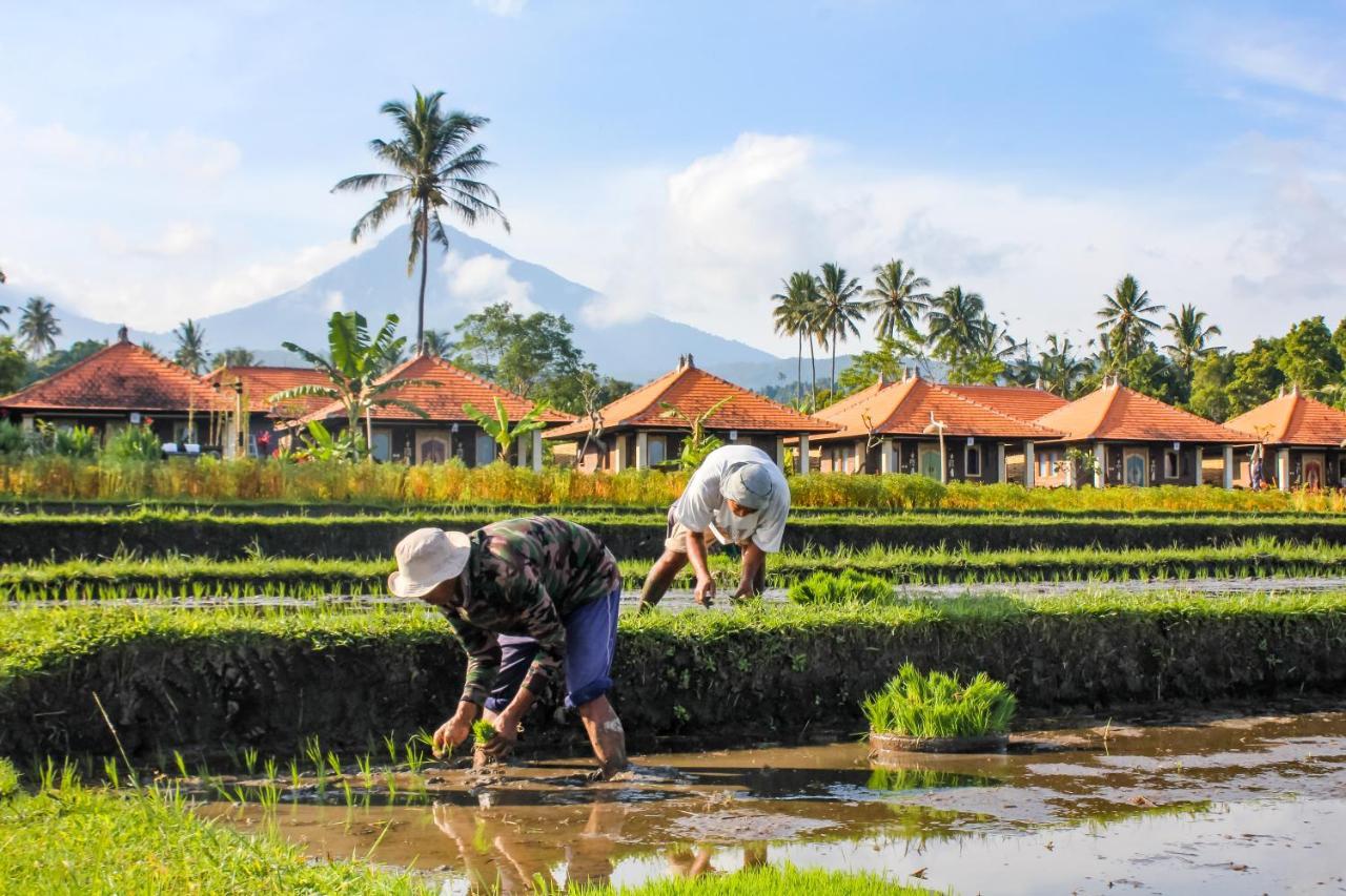 Munduk Sri Lestari Banyuatisヴィラ エクステリア 写真