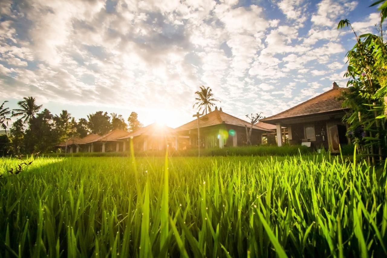 Munduk Sri Lestari Banyuatisヴィラ エクステリア 写真